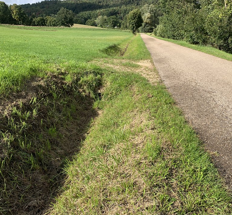 Referenzbild