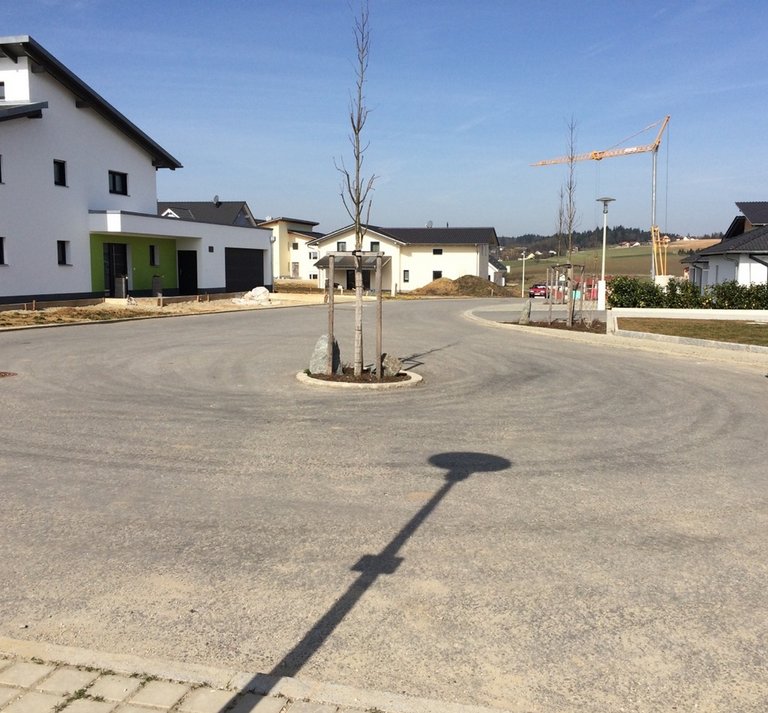 Referenzbild